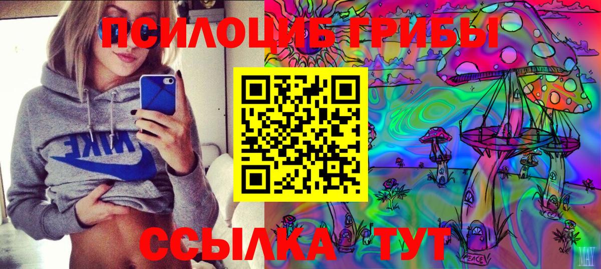 Псилоцибиновые грибы GOLDEN TEACHER  Вход с VPN  Галлюциногенные грибы Magic Shrooms  Мелеуз 