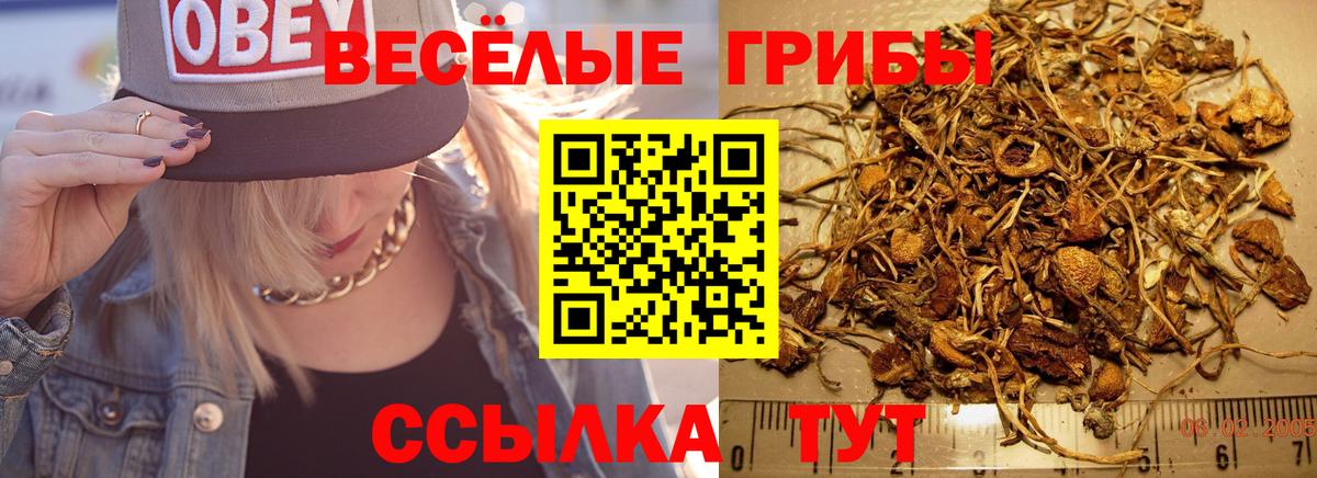 Псилоцибиновые грибы Magic Shrooms Мелеуз